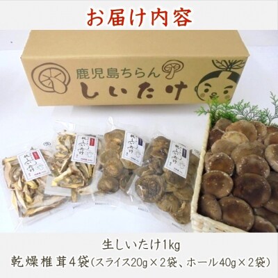 生しいたけ1kg・乾燥しいたけ4袋