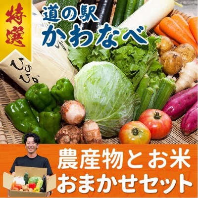 道の駅から直送!農産物とお米おまかせセット