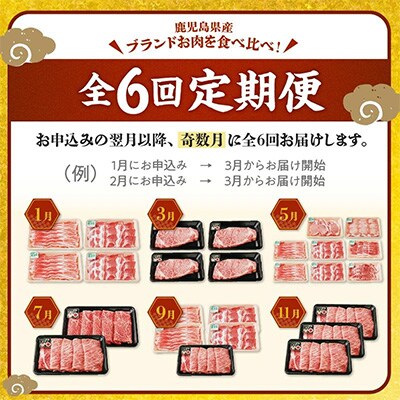 【全6回】鹿児島黒牛・茶美豚食べ比べ定期便