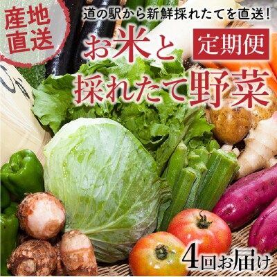 【全4回】道の駅からお届け!お米と採れたて野菜定期便