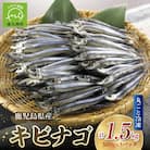 鹿児島県産キビナゴ丸ごと冷凍1.5kg