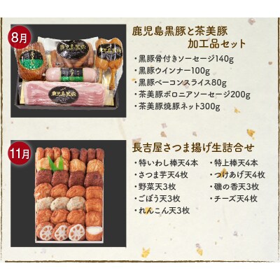 【全4回】南九州まんぞく定期便 ライト