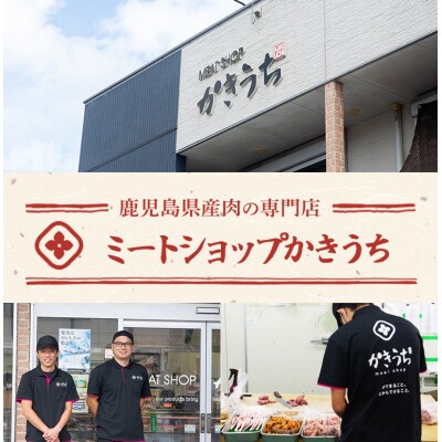 鹿児島県産黒毛和牛ハンバーグ・黒豚ロース味噌漬セット