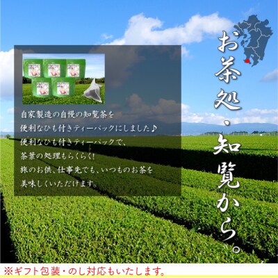 【片野坂製茶】　知覧茶煎茶ティーパック