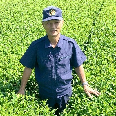 【片野坂製茶】　知覧茶煎茶ティーパック