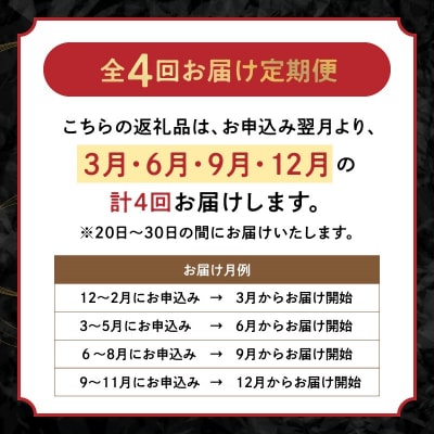 【全4回】A5等級 鹿児島黒毛和牛 赤身牛肉 定期便