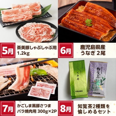 【全12回】南九州まんぞく定期便2