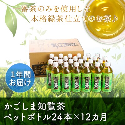 【全12回】かごしま知覧茶ペットボトル定期便
