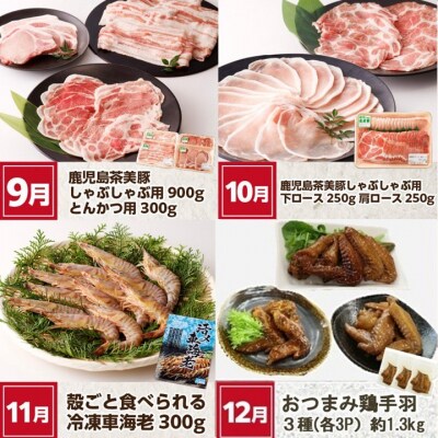 【全12回】南九州まんぞく定期便