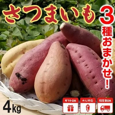 さつまいも3種おまかせ4kgセット