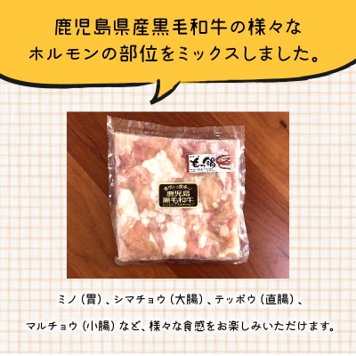 鹿児島県産黒毛和牛ホルモンミックス2パック
