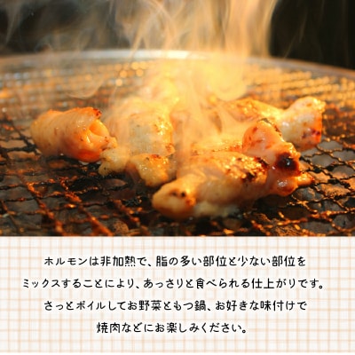 鹿児島県産黒毛和牛ホルモンミックス2パック