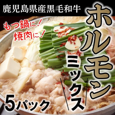 鹿児島県産黒毛和牛ホルモンミックス5パック
