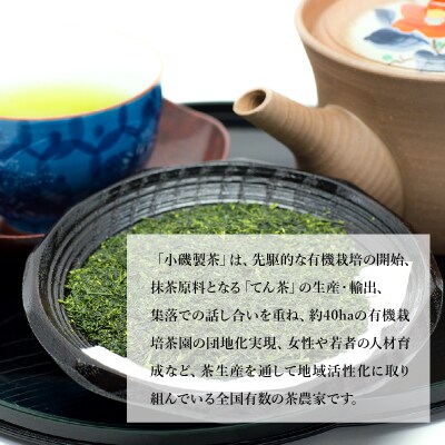 知覧茶バラエティーセット