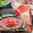 【全6回】かごしま黒豚スライス定期便ハーフ