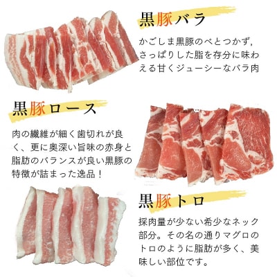 鹿児島県産 黒牛黒豚BBQセット650g