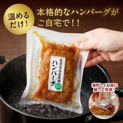 かごしま黒豚ハンバーグおろしソース10個