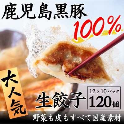 国産素材にこだわった鹿児島黒豚餃子120個 | ふるさと納税のお礼品