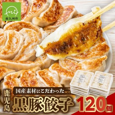 国産素材にこだわった鹿児島黒豚餃子120個