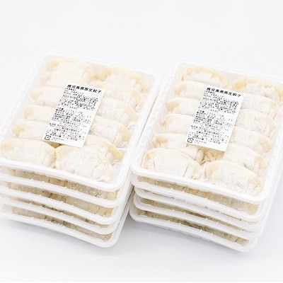 国産素材にこだわった鹿児島黒豚餃子120個