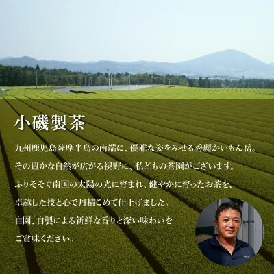 茶農家から直接お届け!知覧茶煎茶1kg