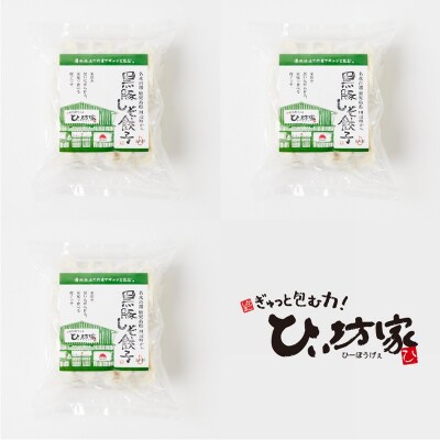 かごしま黒豚しそ餃子60個(タレ付)