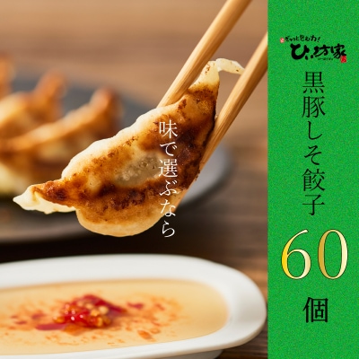 かごしま黒豚しそ餃子60個(タレ付)
