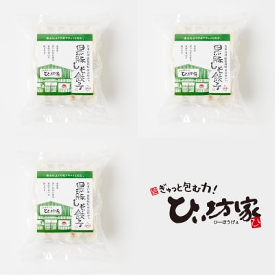 かごしま黒豚しそ餃子60個(タレ付)
