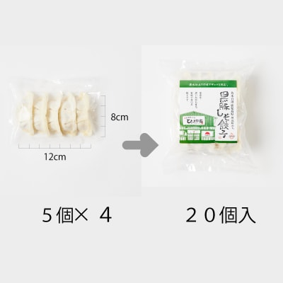 かごしま黒豚しそ餃子60個(タレ付)