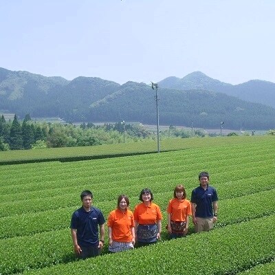 急須いらずの知覧茶お手軽セット