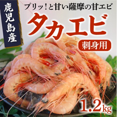 鹿児島産「タカエビ」刺身用1.2kg | ふるさと納税のお礼品