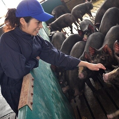 鹿児島県産黒豚ヒレブロック3本約1.5kg