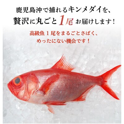 鹿児島産キンメダイ1尾(1~1.2kg)