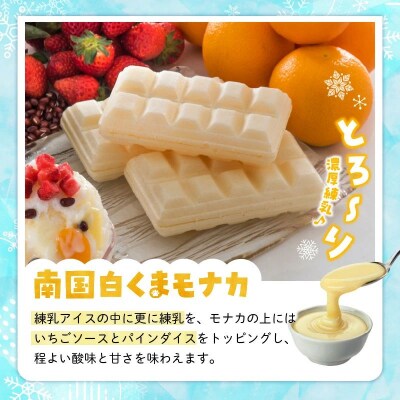 鹿児島名物南国白くま&モナカ詰合せ