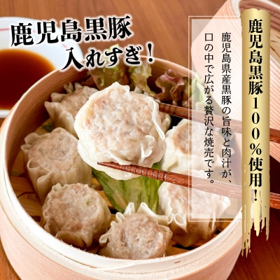 鹿児島黒豚入れすぎ!肉焼売45個