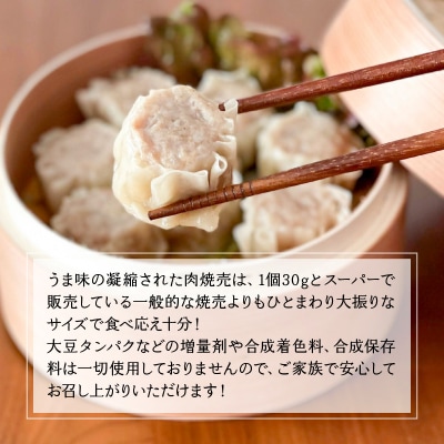 鹿児島黒豚入れすぎ!肉焼売45個