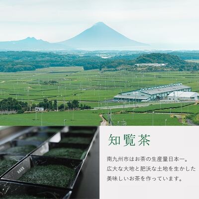 美味しい知覧茶8本セット