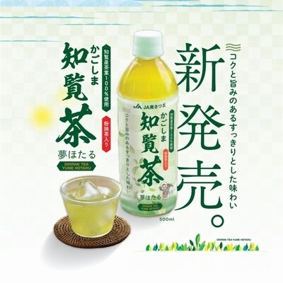 知覧茶夢ほたるペットボトル24本