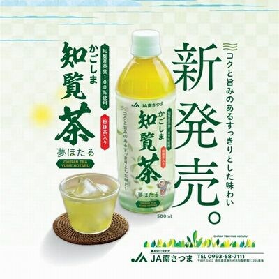 知覧茶夢ほたるペットボトル24本