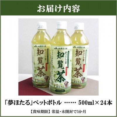 知覧茶夢ほたるペットボトル24本