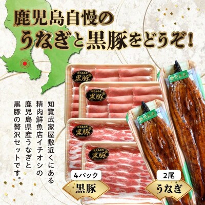 かごしま黒豚しゃぶしゃぶ用4パック・鹿児島県産ウナギ2尾の贅沢セット