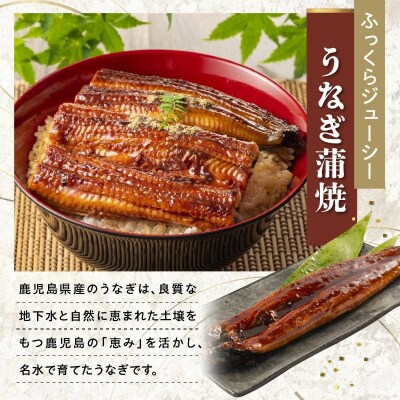 かごしま黒豚しゃぶしゃぶ用4パック・鹿児島県産ウナギ2尾の贅沢セット