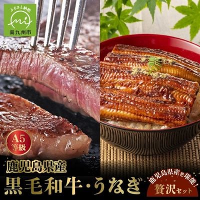 鹿児島県産黒毛和牛A5等級サーロイン4枚・鹿児島県産ウナギ2尾の贅沢セット