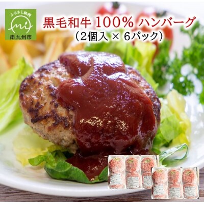 黒毛和牛100%ハンバーグ(2個入×6パック)