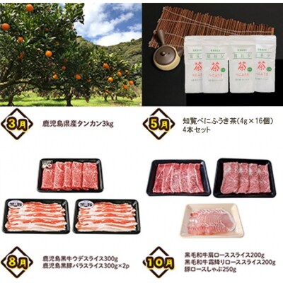 【全4回】南九州トクトク定期便ライト