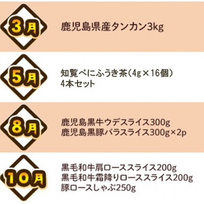 【全4回】南九州トクトク定期便ライト