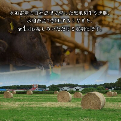 【全4回】いつでも始められる黒豚&県産豚しゃぶしゃぶ・うなぎ・和牛・黒豚生ハム定期便