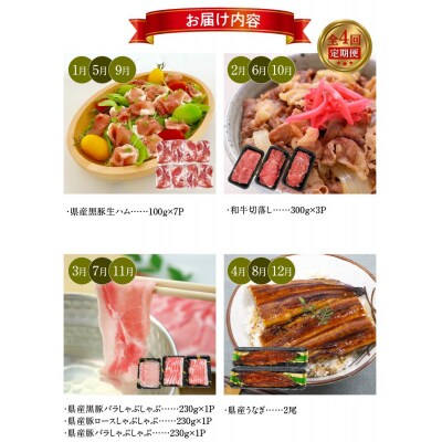 【全4回】いつでも始められる黒豚&県産豚しゃぶしゃぶ・うなぎ・和牛・黒豚生ハム定期便
