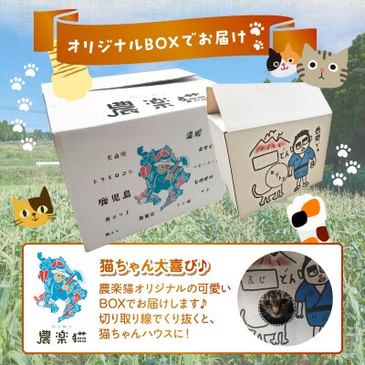 手づくりポップコーン かつおコーン6袋セット