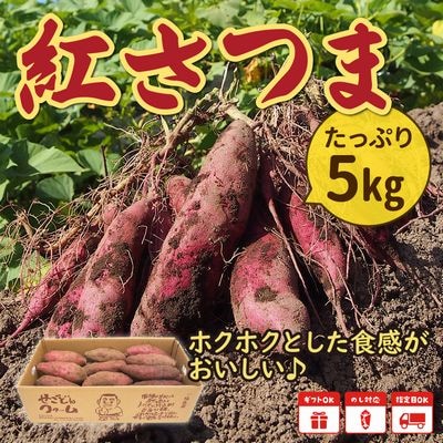 さつまいも「紅さつま」5kg